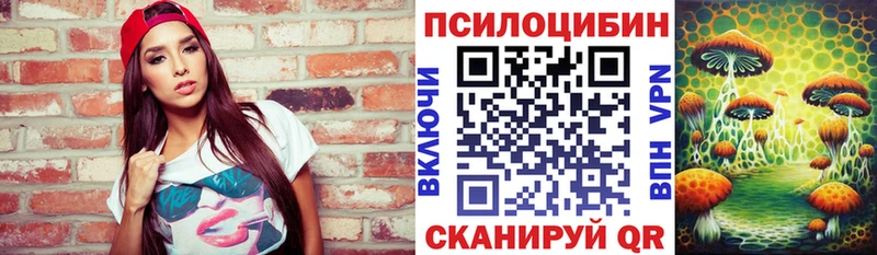 omg ссылка Удачный Псилоцибиновые грибы GOLDEN TEACHER